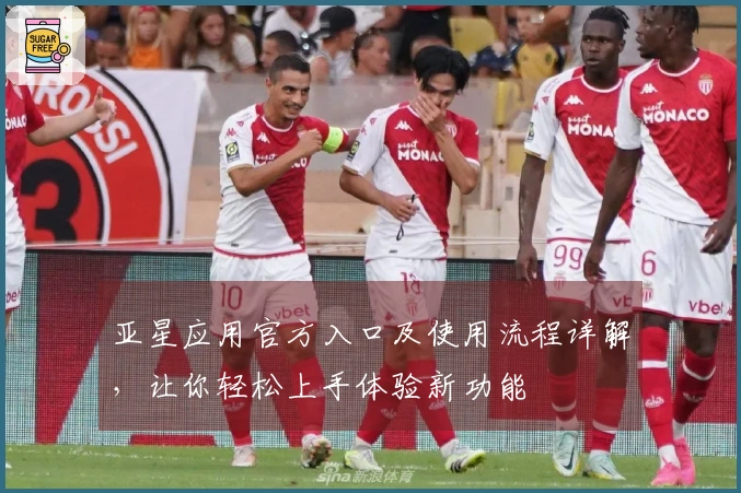 亚星应用官方入口及使用流程详解，让你轻松上手体验新功能