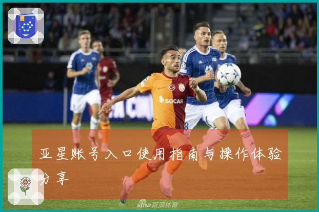 亚星账号入口使用指南与操作体验分享